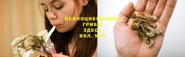 ешки Балахна