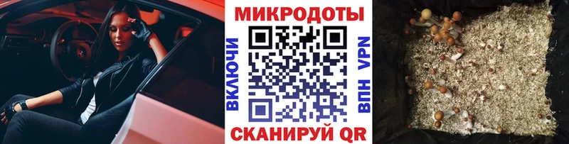 Псилоцибиновые грибы мицелий  Озёры 